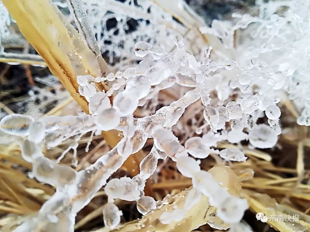 0℃线逼近,福建这些地方也下雪啦!明后天,福州