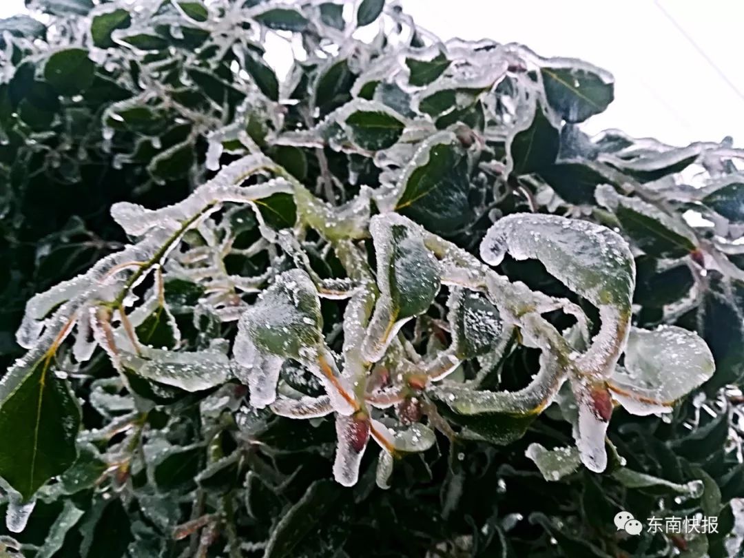 0℃线逼近,福建这些地方也下雪啦!明后天,福州