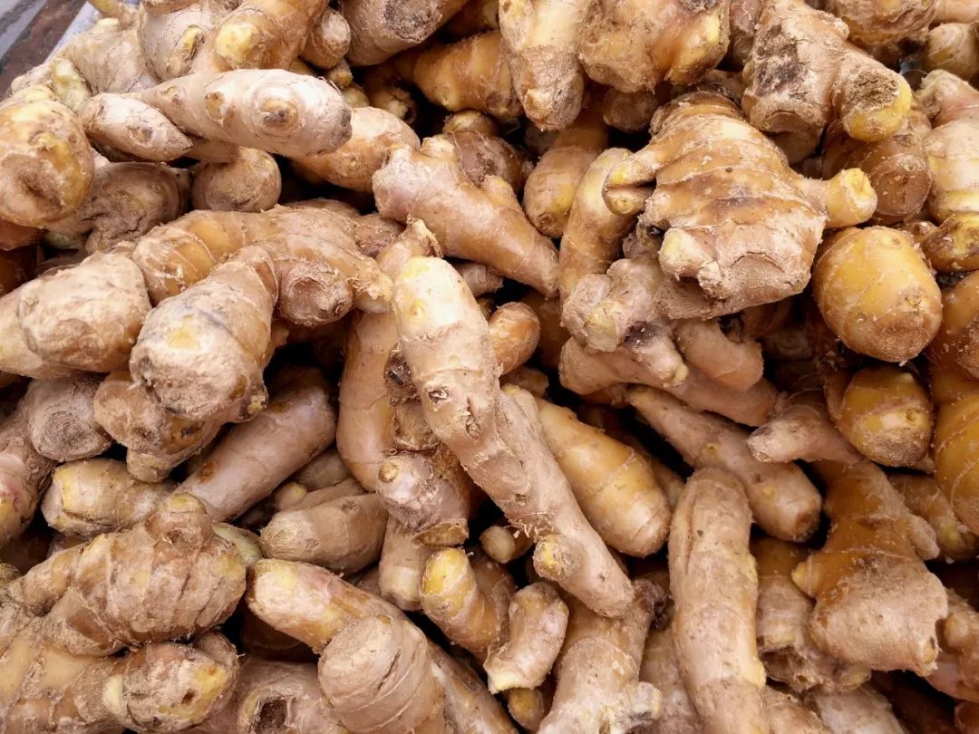 降压降糖降血脂,溶解结石还抗癌,TA却被99%的人