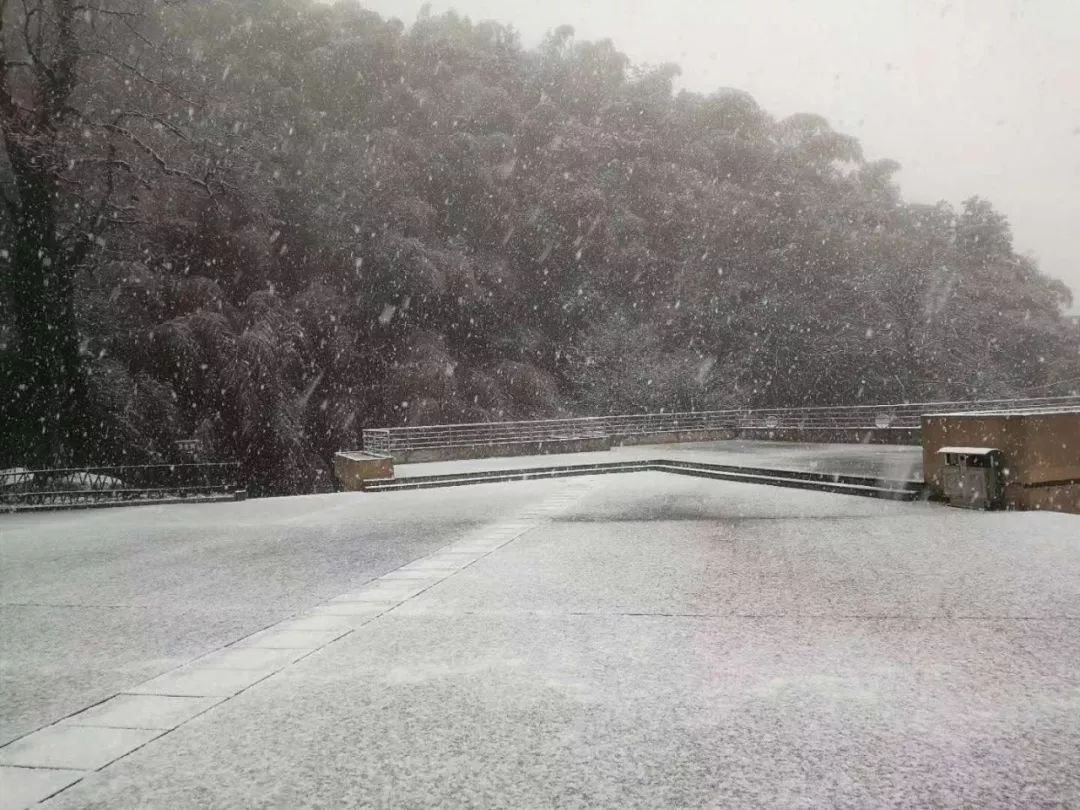 江西多地突然下雪! 这种天气,万万没想到…