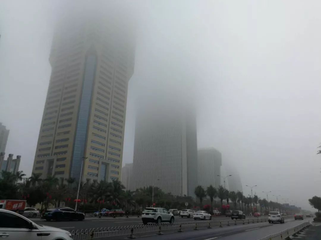 浓雾锁城!海口三港停航!建议过海车辆15点前不