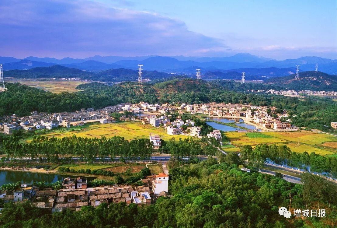 增城坚持农业农村优先发展!今年将推进建设10