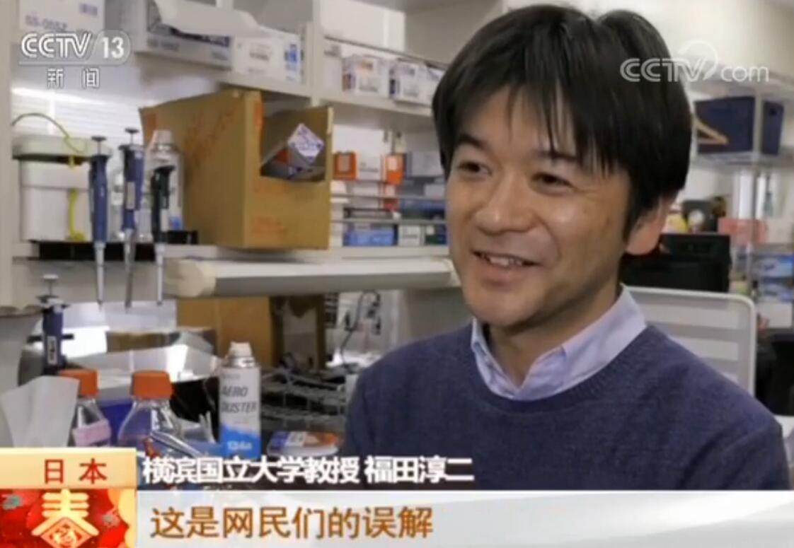 多吃炸薯条治脱发?日本研究人员:行不通!