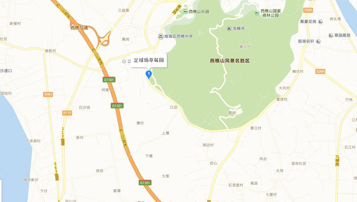 又是一年草莓季,张槎哪里可以摘到又大又甜的