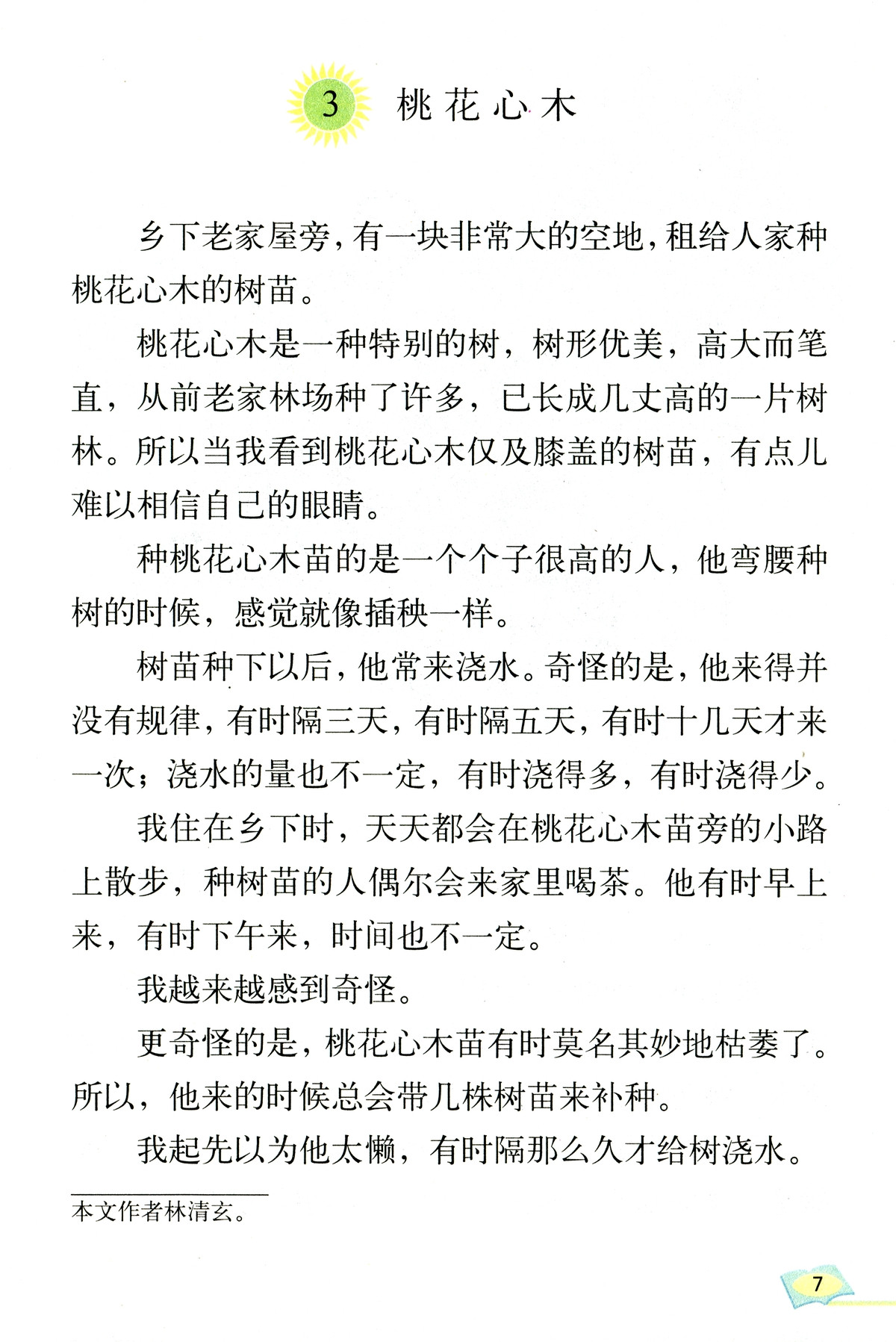 《桃花心木》丨那些年,我们一起读过的课文|桃