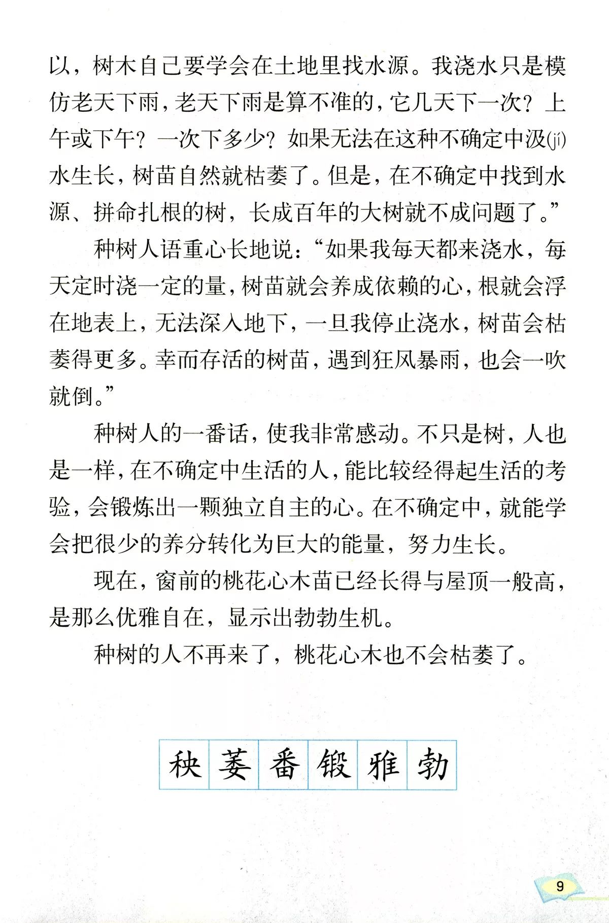 《桃花心木》丨那些年,我们一起读过的课文|桃