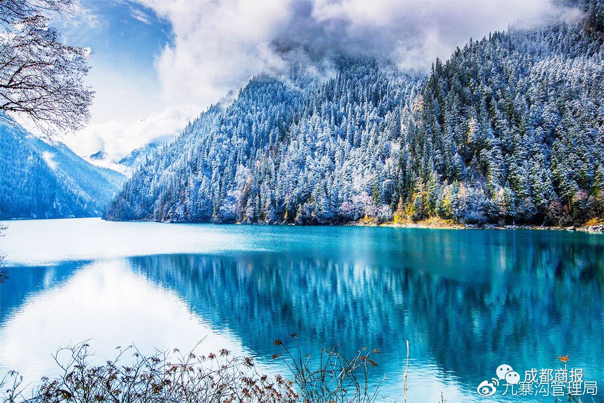 2018年的第一场雪,美哭所有南方人!没雪可看的