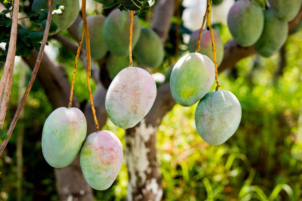 国家点名扶持!四川这14个县市区将有大发展|农