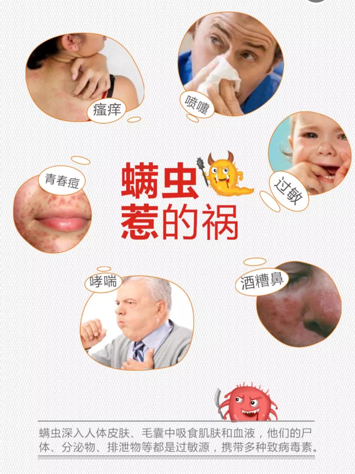 在你床上蠕动的200万只螨虫怎么办? 彩虹 牌除