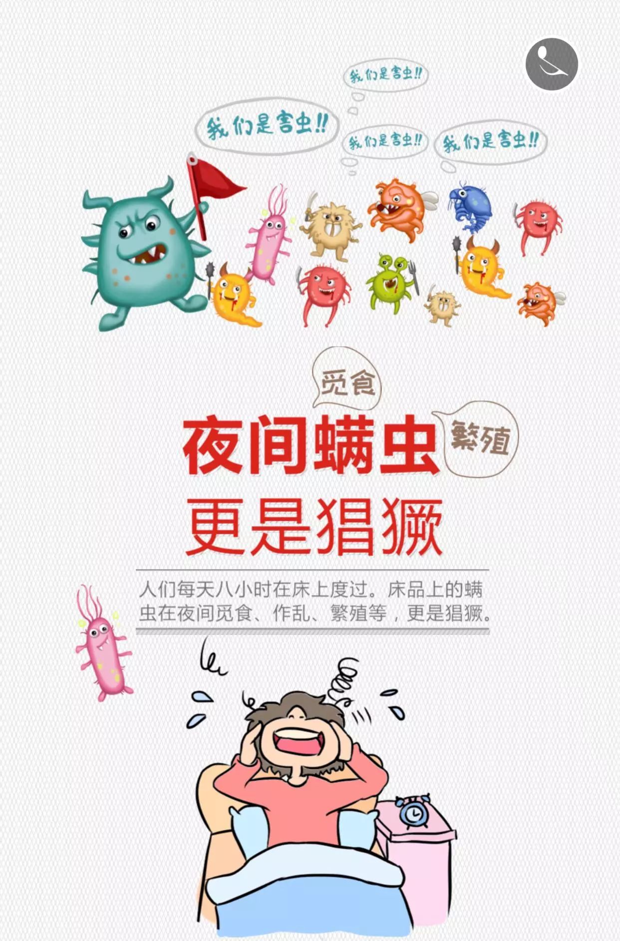 在你床上蠕动的200万只螨虫怎么办?彩虹牌除