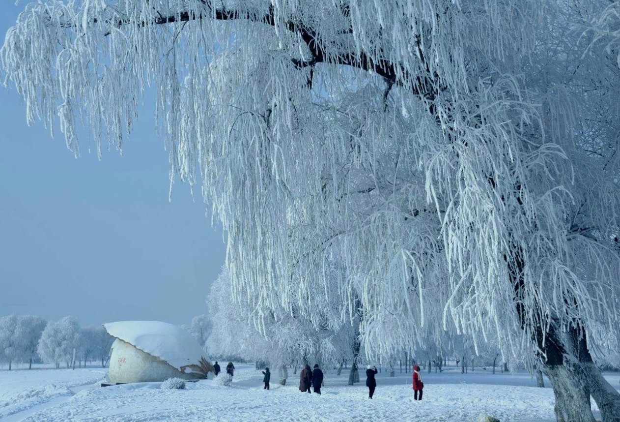 如果去长白山看雪景,可以考虑租住我们同事的核景房.