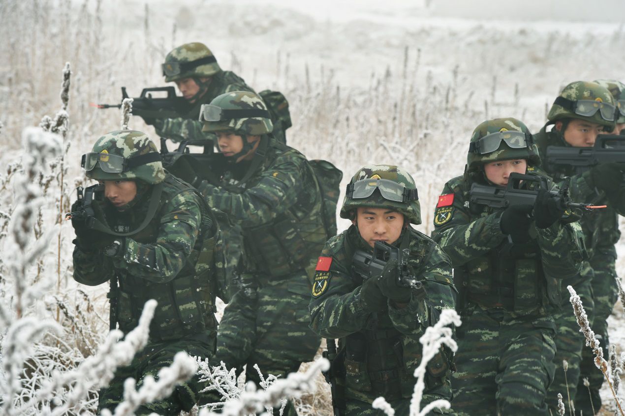 中国警察与人口比例_中国年龄段人口比例图(3)