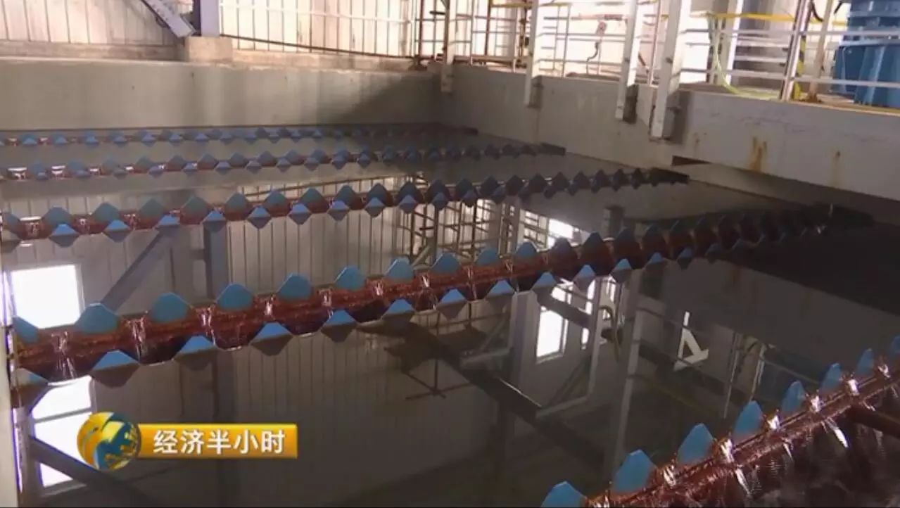 【揭秘】这个城市的马路火了!路灯、井盖竟有