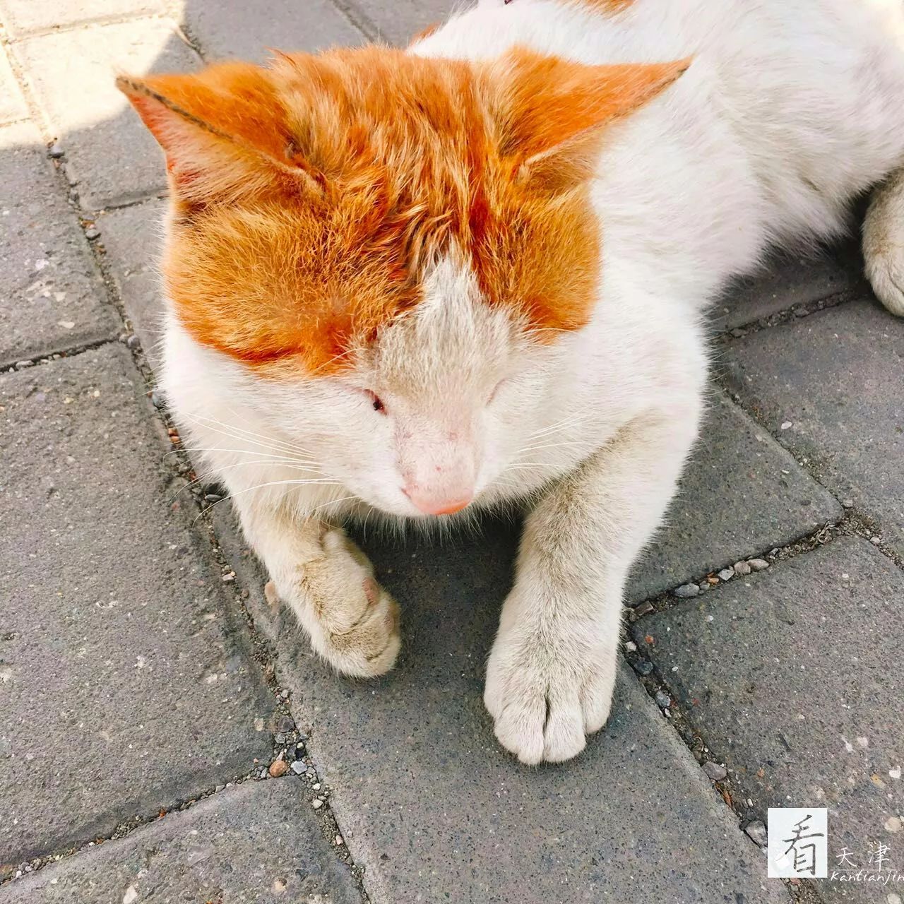 眼睛鞋猜成语_看图猜成语(3)