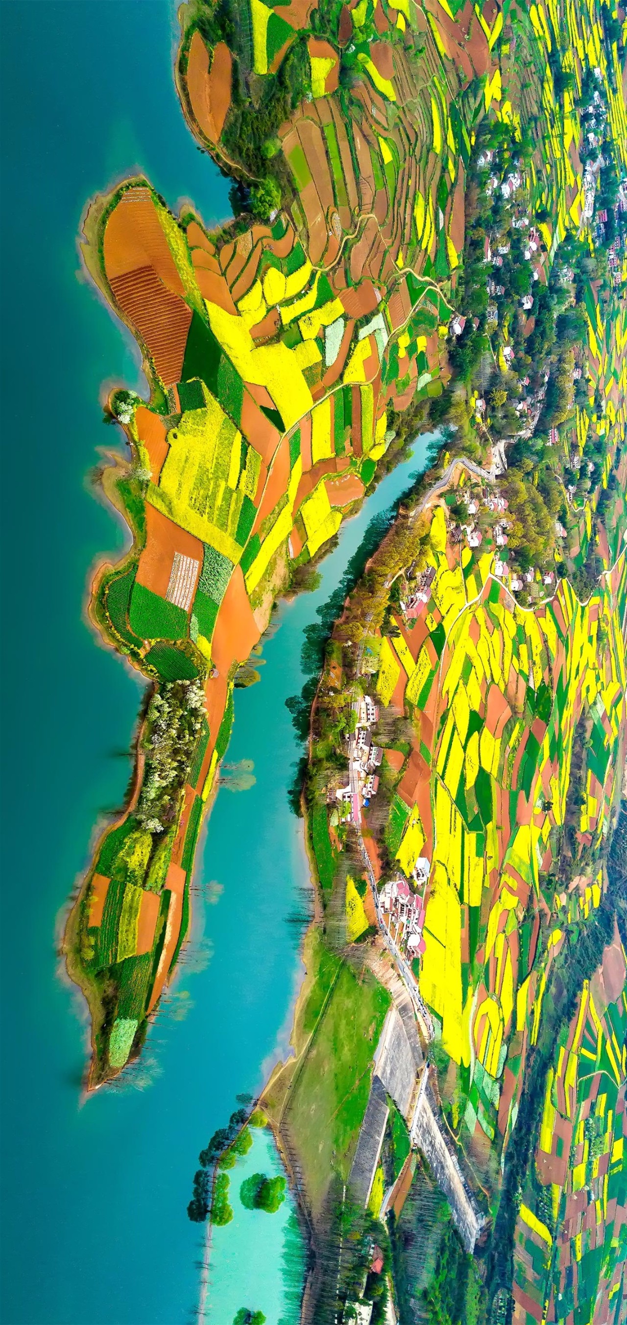 深读 | 秦岭淮河有什么特别?为何能分割中国?|摄