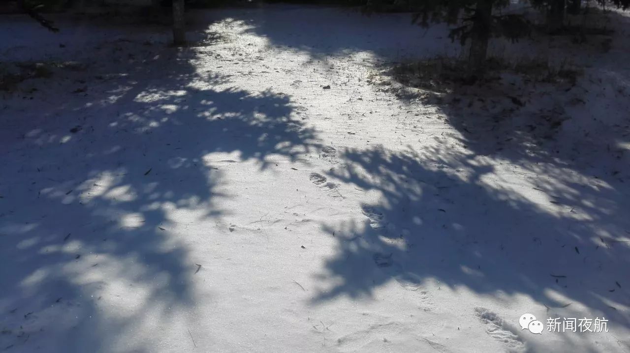 天气大逆转!大风雪来袭!气温骤降!省气象台预报