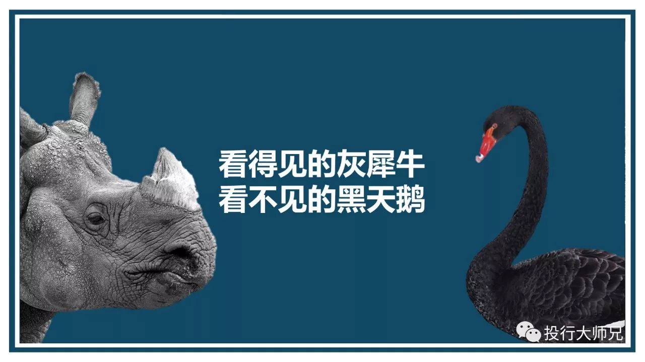 看得见的灰犀牛,看不见的黑天鹅