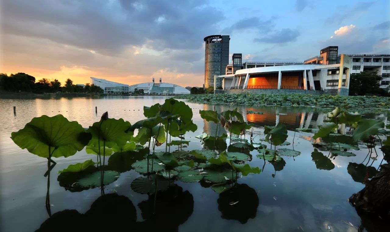 ▲浙江大学