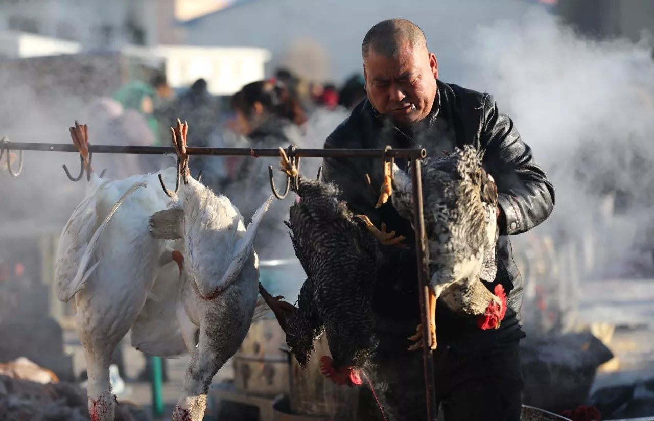 长春周边有这么多农村年货大集!赶快收藏吧!|商