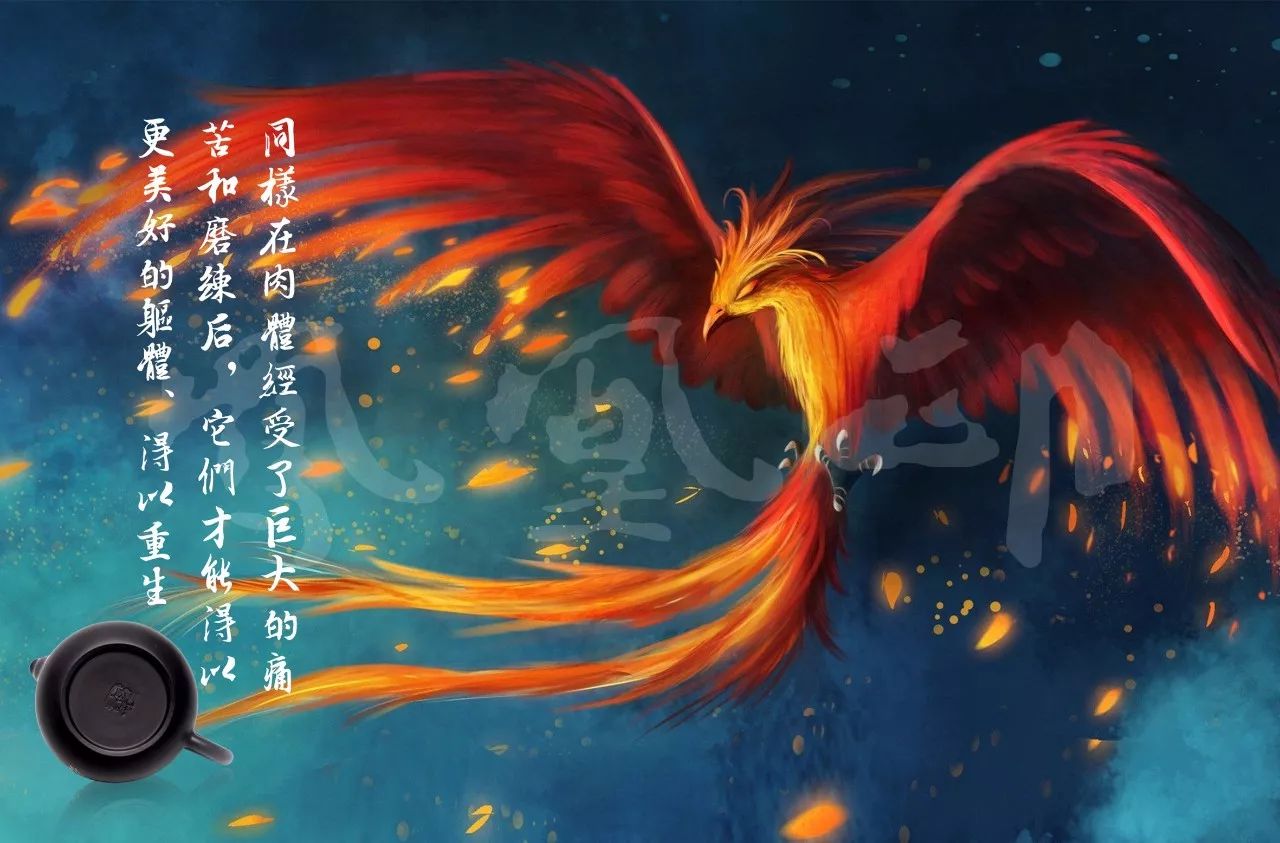 "凤凰涅槃"这四个字,被你误读了多少年