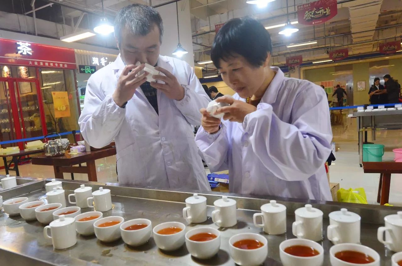小天麻让丹凤8000多名贫困群众增收致富—天麻市场价是多少