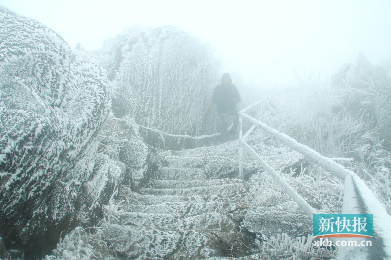 清远下雪啦!一夜冬风过 漫山冰花开|冰挂|冰凌|玉龙雪山_新浪新闻