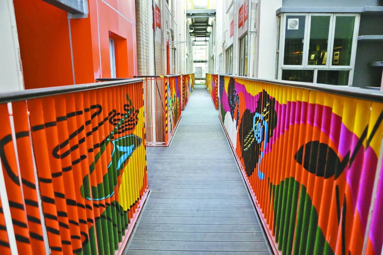 院、还有洗衣机健身房…这种超高颜值的公寓房