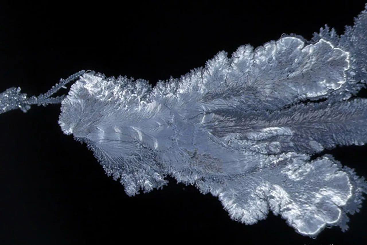 美到震撼!清华学霸用3分钟短片,火遍全球|清华