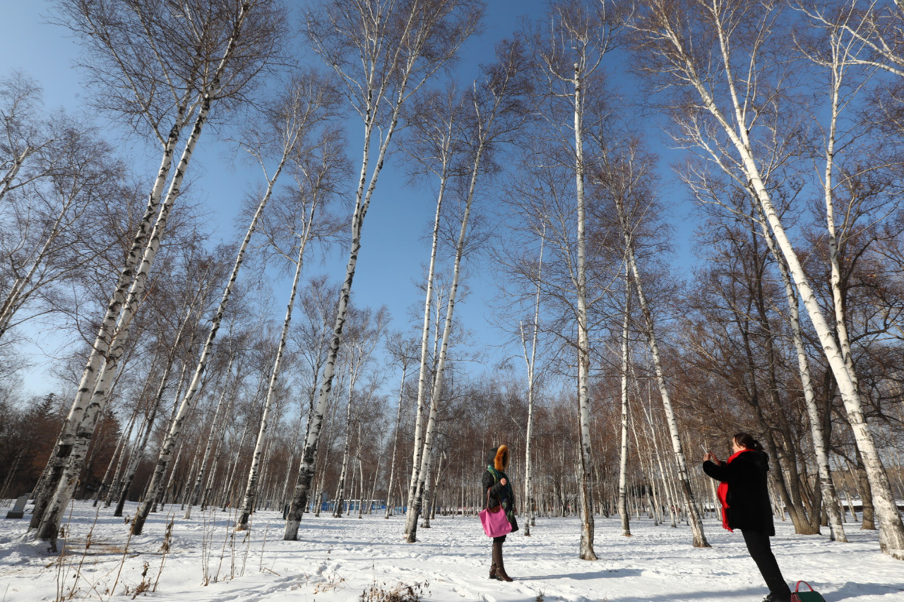 吉林省气象台发布严寒蓝色预警 嘎嘎冷的冬天