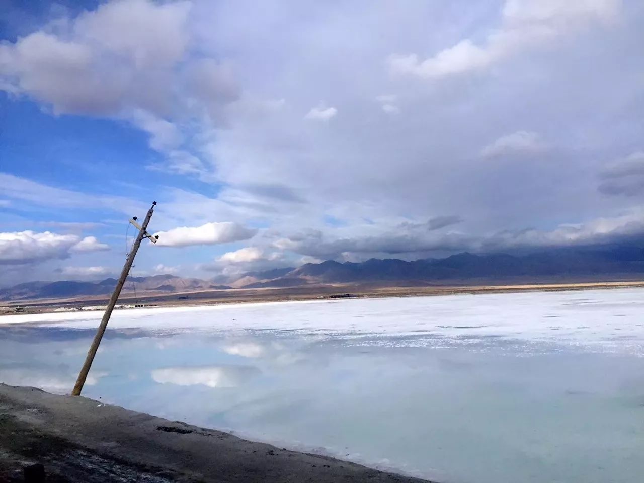 有教养的人,从不做这4件事|男生|陶渊明|邓丽君