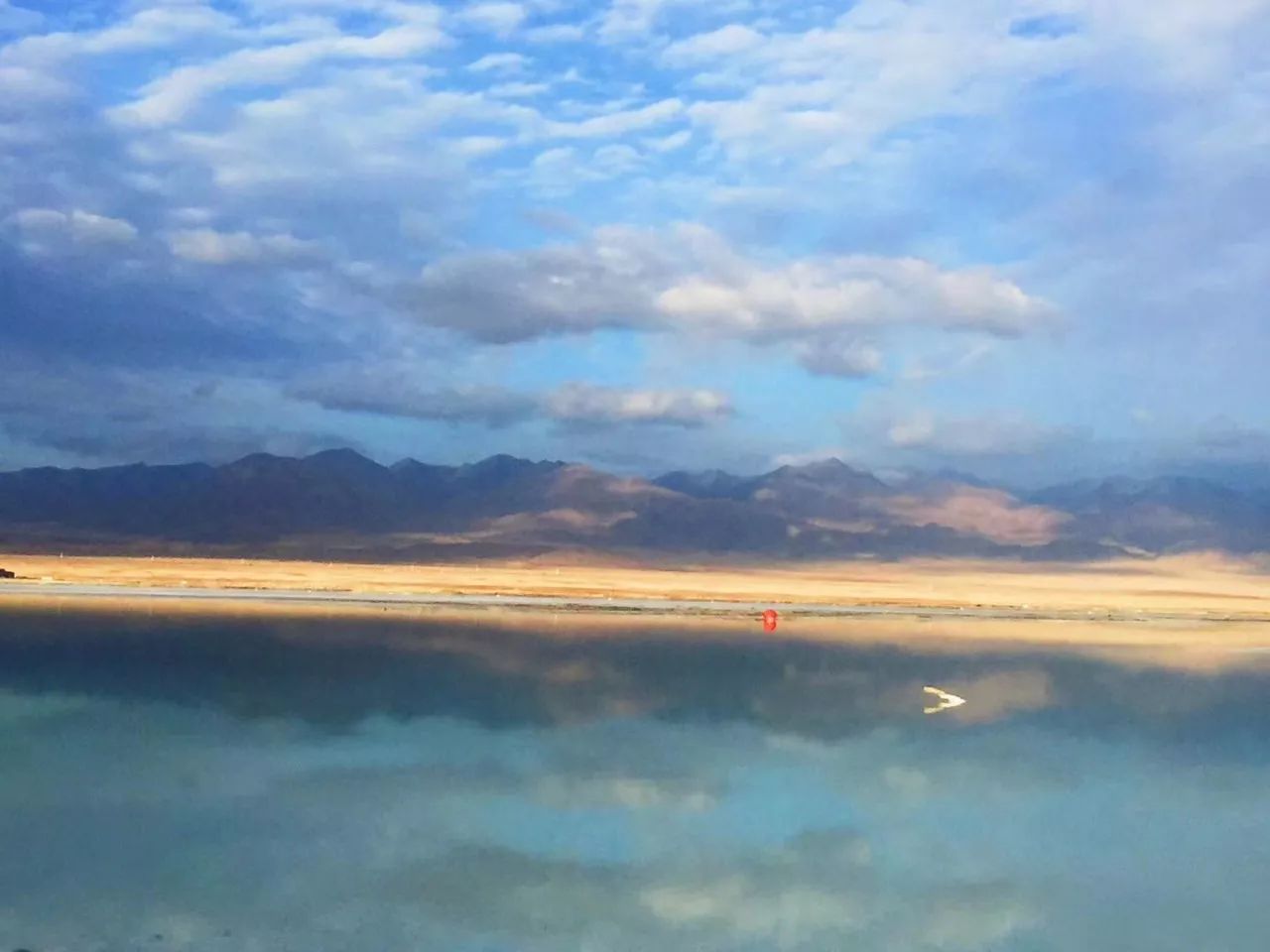 有教养的人,从不做这4件事|男生|陶渊明|邓丽君