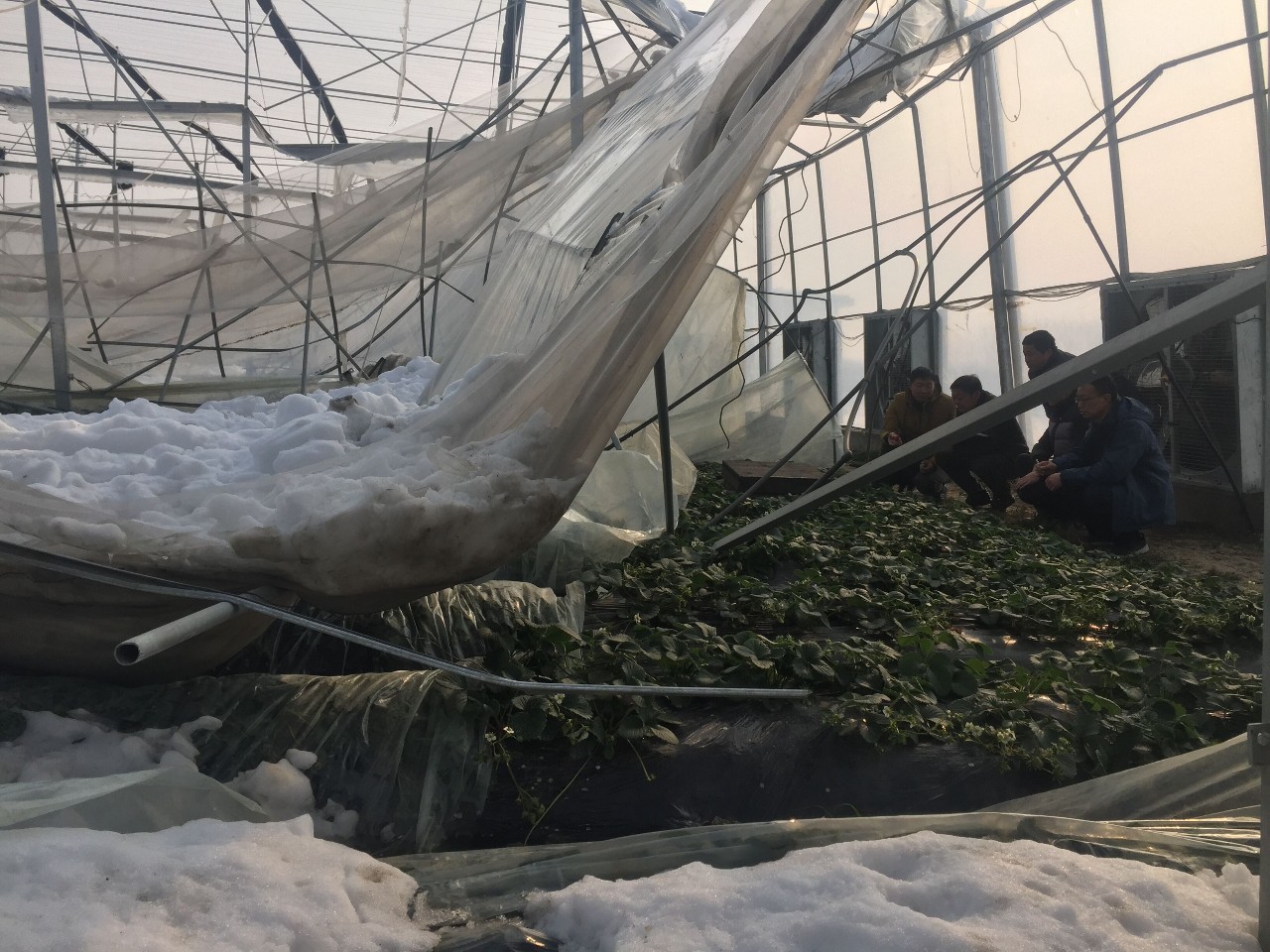 大圩镇总人口_大圩镇行政区划