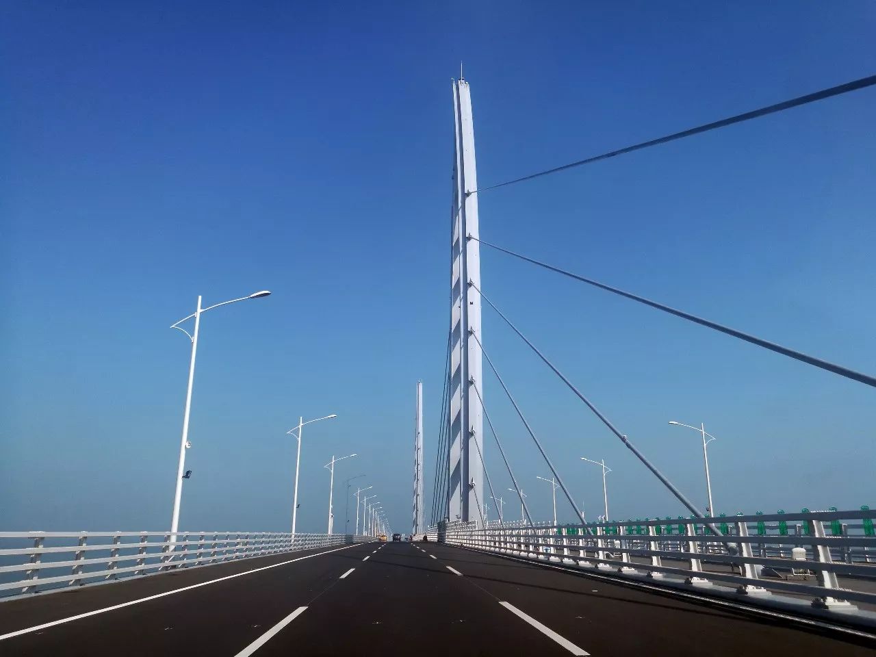 港珠澳大桥已成广州人旅游新热点!100元一日游