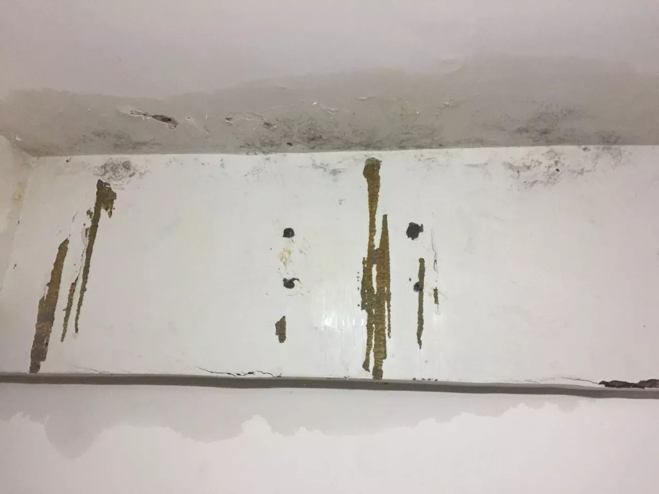 店面墙壁渗水怎么处理?中骏·四季家园物业:等