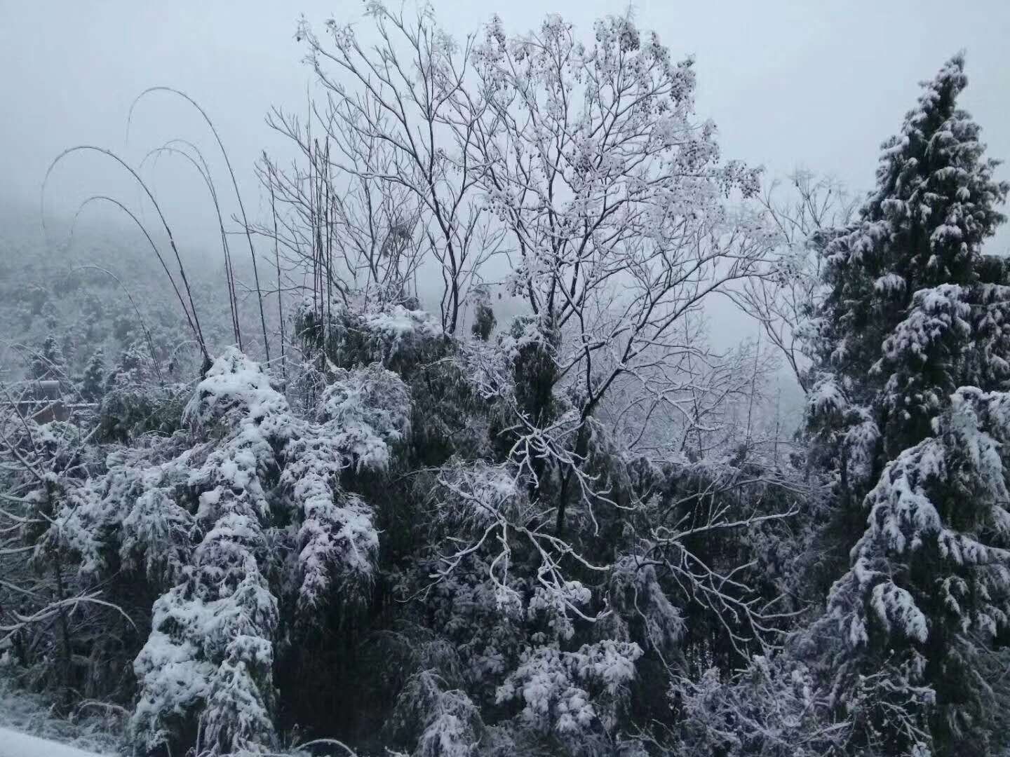 2018年重庆与雪山的那些光影瞬间|摄影|风光|摄影师张坤琨 - 原创作品 - 站酷 (ZCOOL)