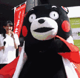 熊本熊