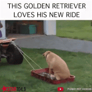 拍迪迦奥特曼的女神多水嫩?动图也想摸妹子的白丝