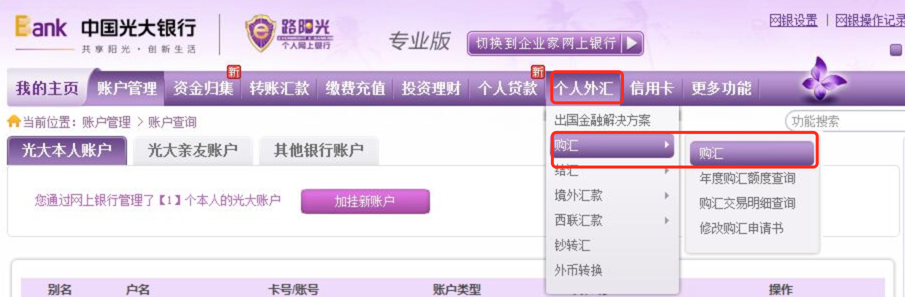 光大网上银行怎么查工资流水 新浪网