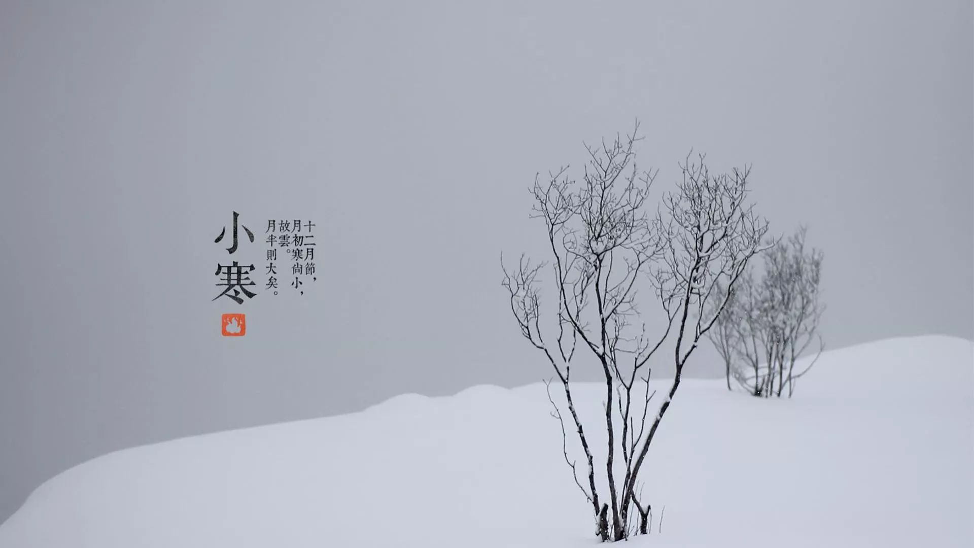 【涨知识】小寒才是全年最冷的节气，养生讲究“温润”二字|雪乡|案板|热文_新浪新闻