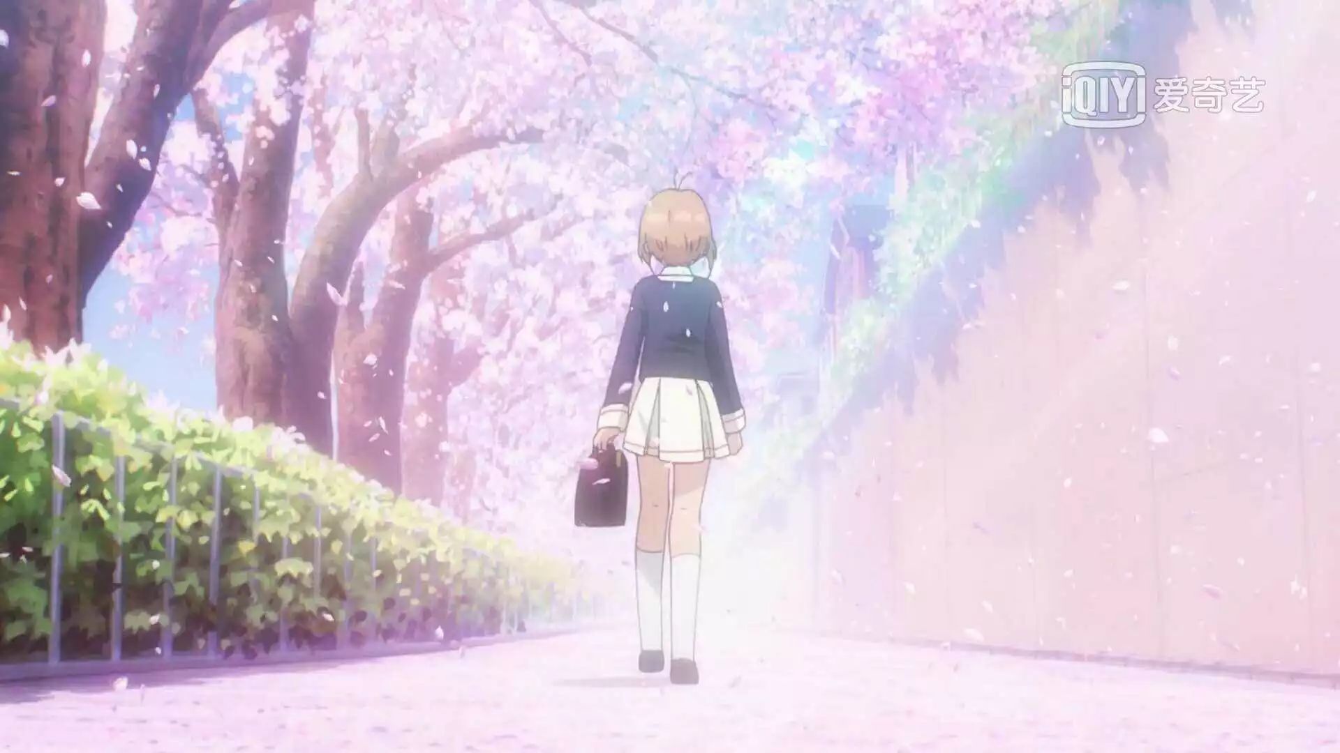 《魔卡少女樱透明牌篇》播出,老夫少女心被唤醒了!|魔卡少女樱|库洛|少女_新浪女性