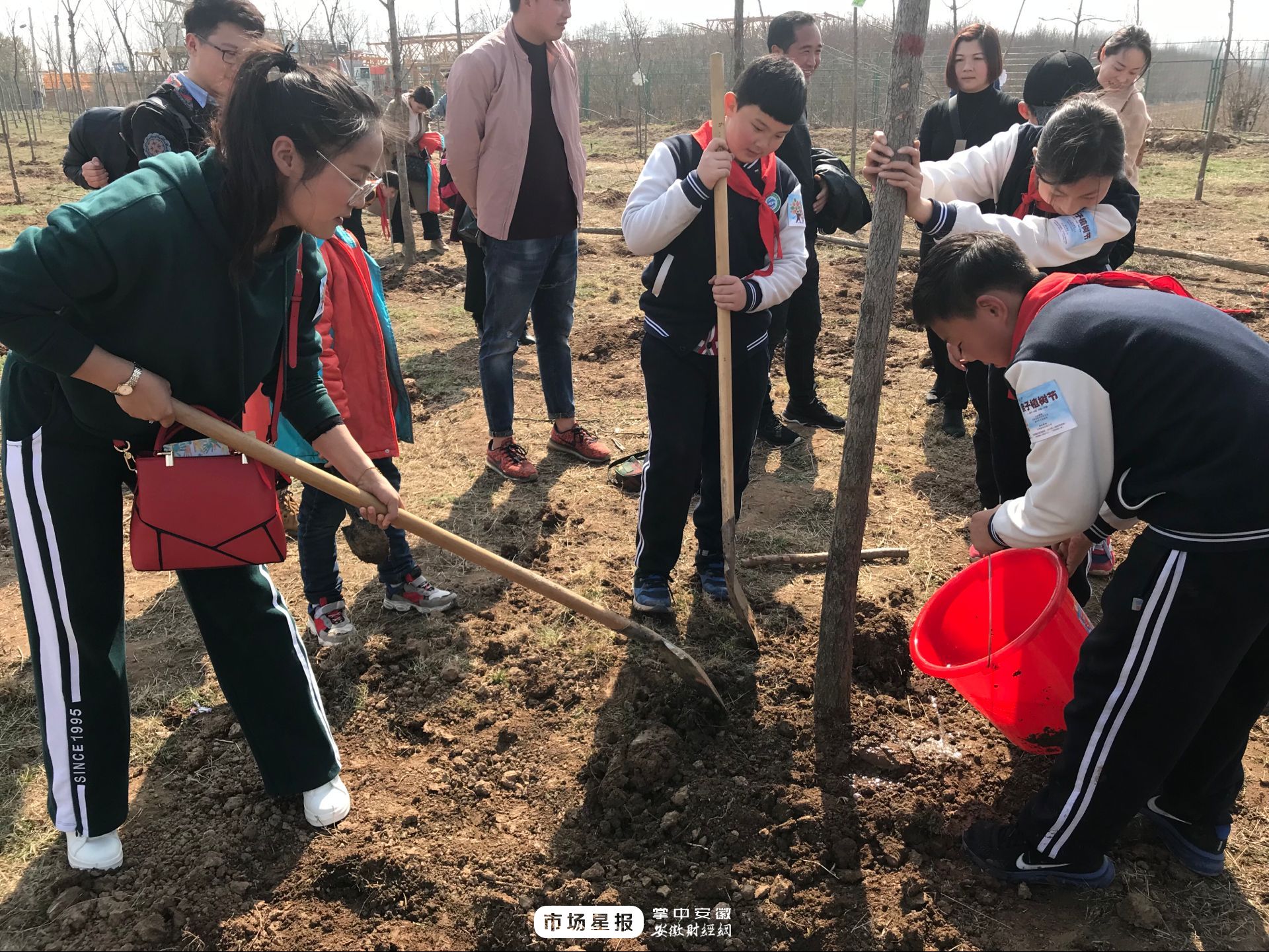 亳州:小学生植树护绿忙