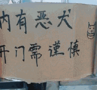 兄Dei，一次这么多你受得了吗？