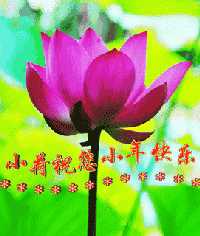 附最美小年动态表情图,太漂亮了!