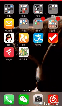 家庭教师是邻家大姐姐?动图 妹子那两个不安分的球球