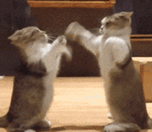 ġŮ״ȥƱң˶ٷδǡ