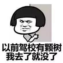 还没考驾照的青海人要哭了！4月1日起，驾考将有重大变化！