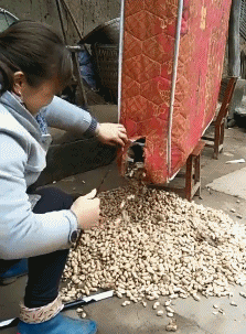 家庭教师是邻家大姐姐?动图 妹子那两个不安分的球球