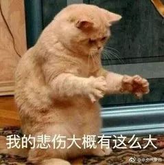 万一回南天来了，你的烘干机准备好了么？