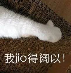 又一对姐弟恋要结婚啦？！细数女方历任男友竟多半是当红小鲜肉！