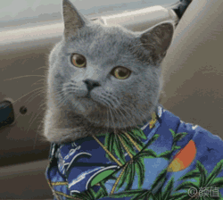 ġŮ״ȥƱң˶ٷδǡ